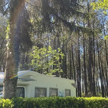 אתר קמפינג Des Abesses Saint-Paul-lès-Dax